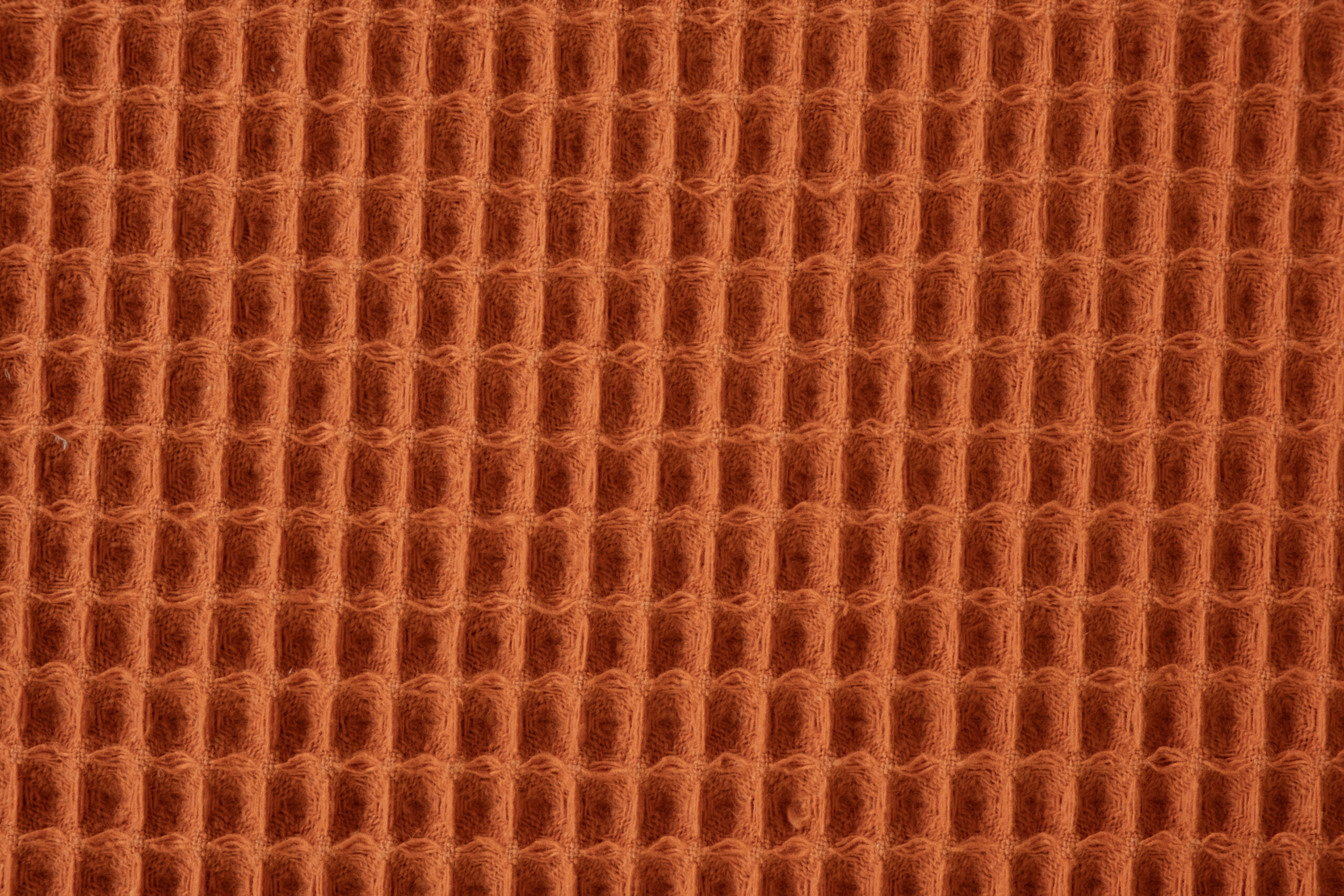 PİKE TARÇIN - Görsel 2