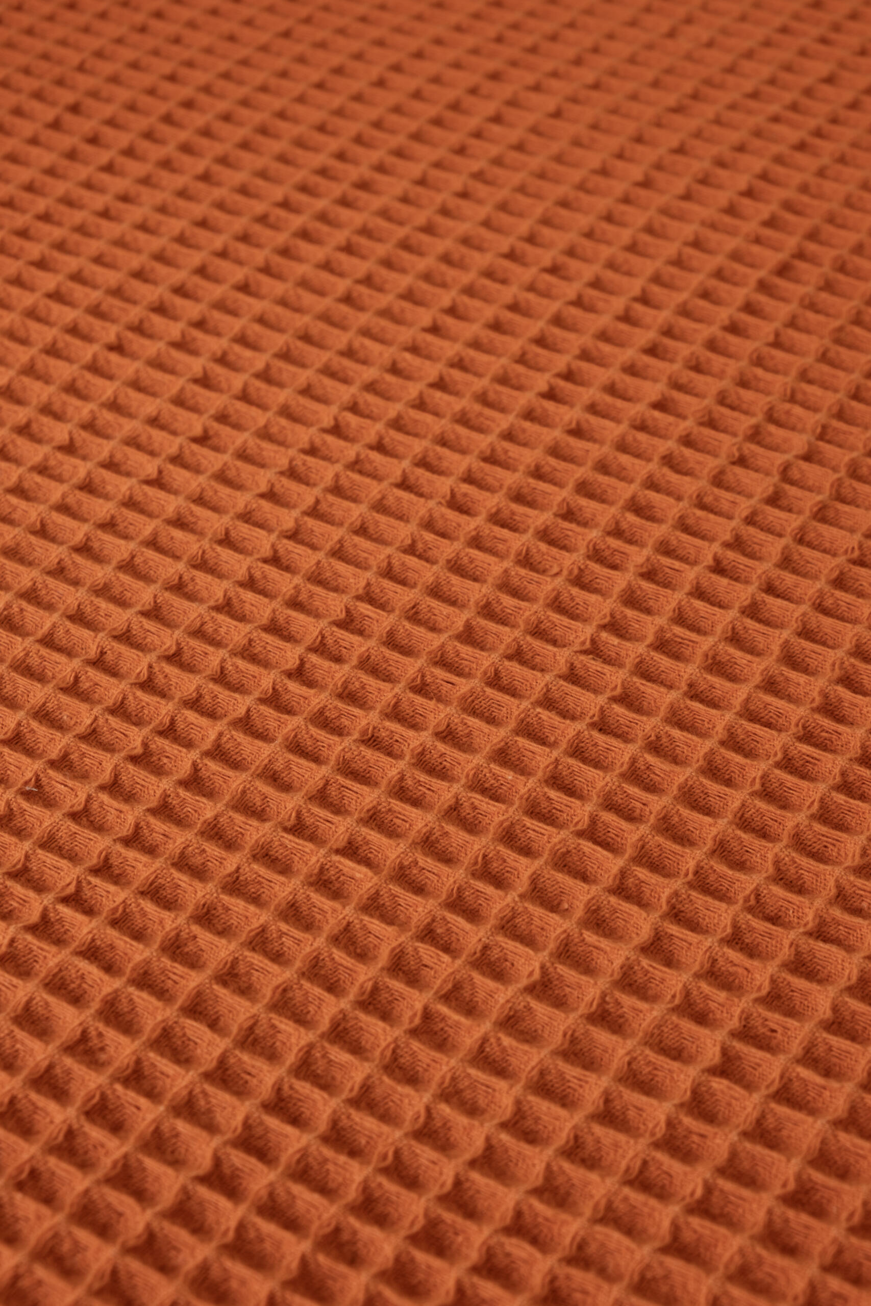 PİKE TARÇIN - Görsel 3